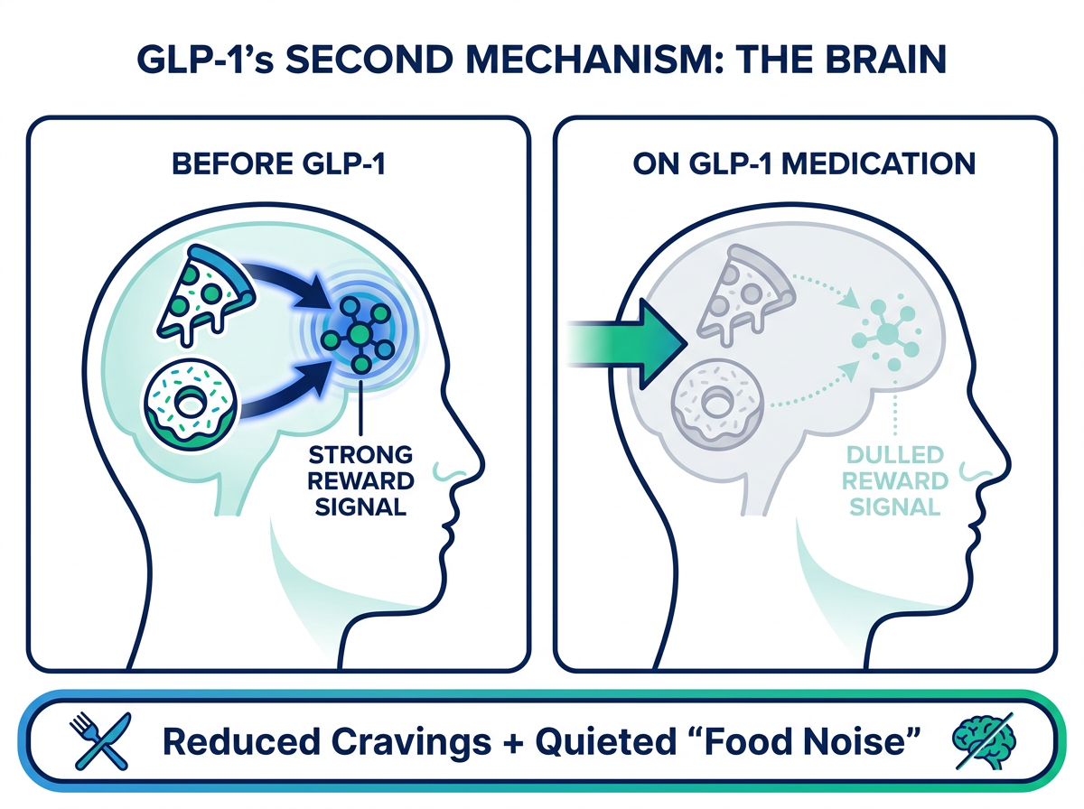 The second mechanism: dulling the brain's reward signal